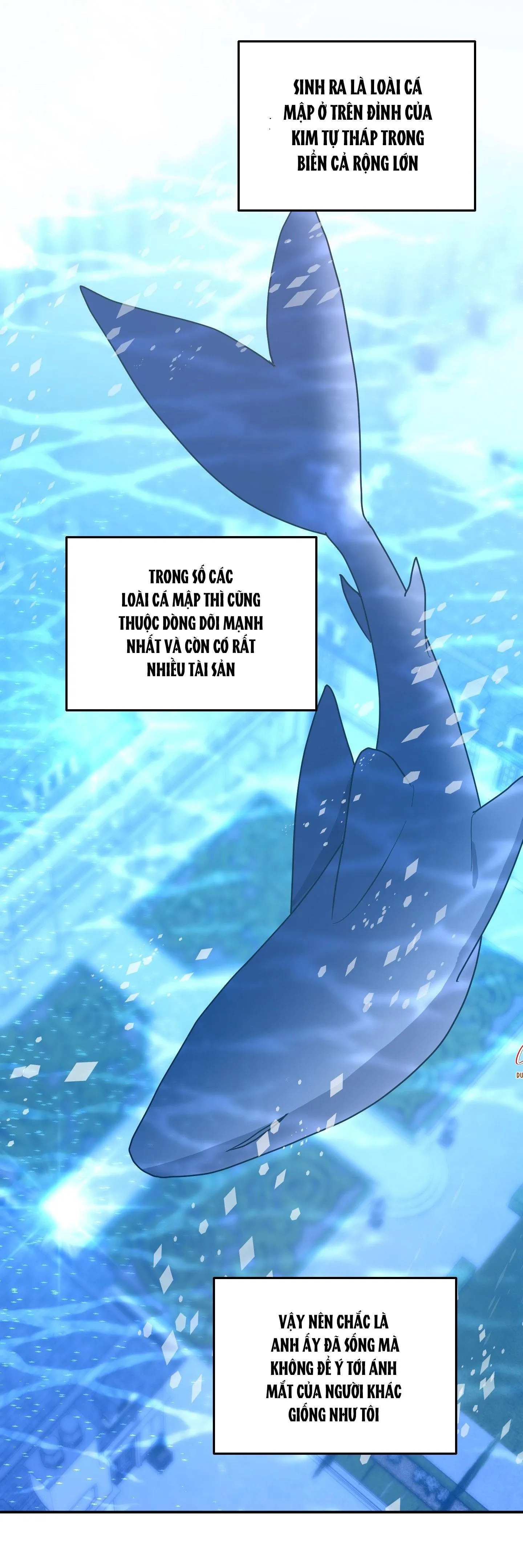 CÁ MẬP VÀ CÔ DÂU THỎ Chapter 45 Trang 27