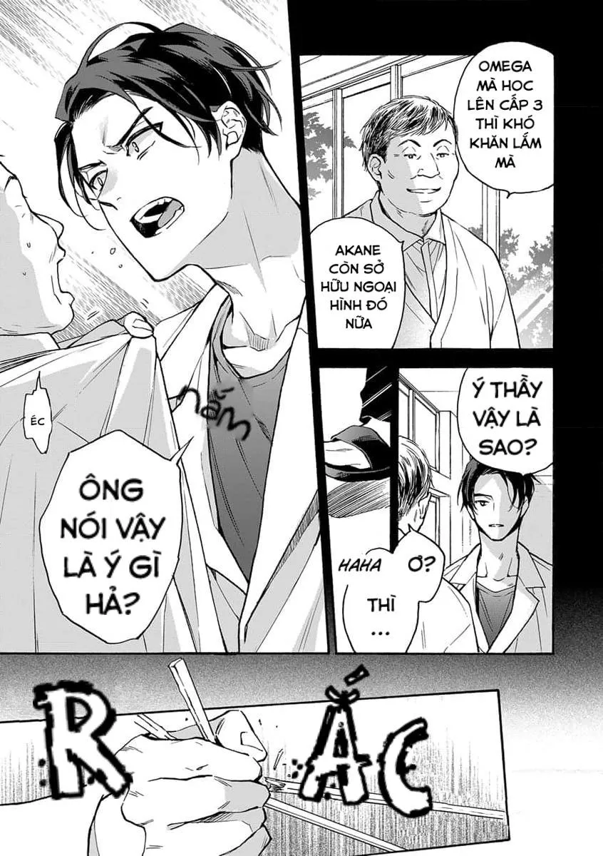 Cắn Nát Viên Ruby Đỏ Chapter 2 Trang 13