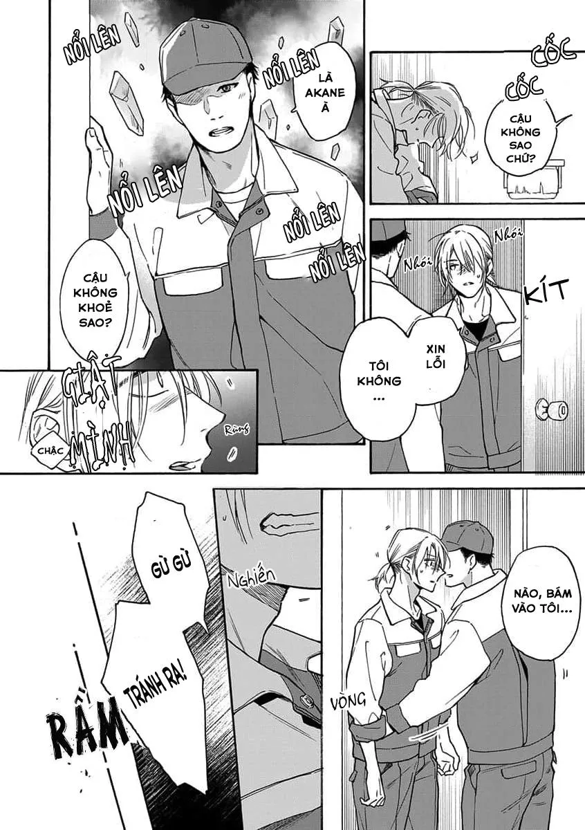 Cắn Nát Viên Ruby Đỏ Chapter 2 Trang 20