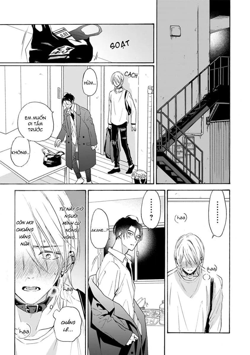 Cắn Nát Viên Ruby Đỏ Chapter 6 Trang 21