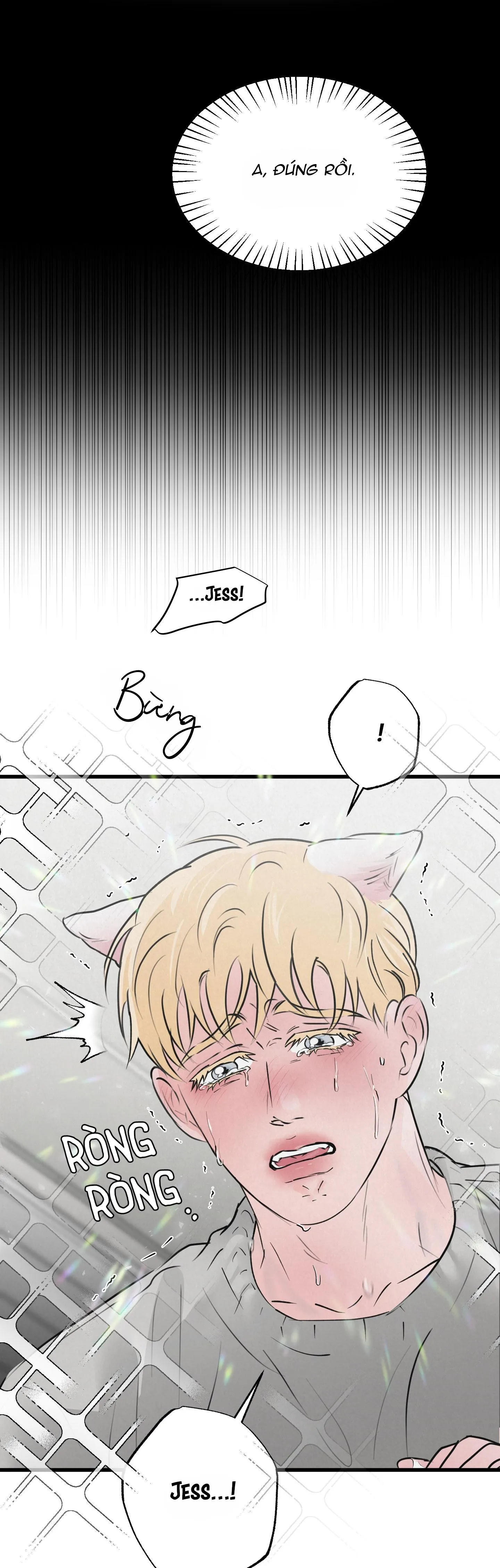 CẶP ĐÔI HOÀN HẢO Chapter 15 Trang 4