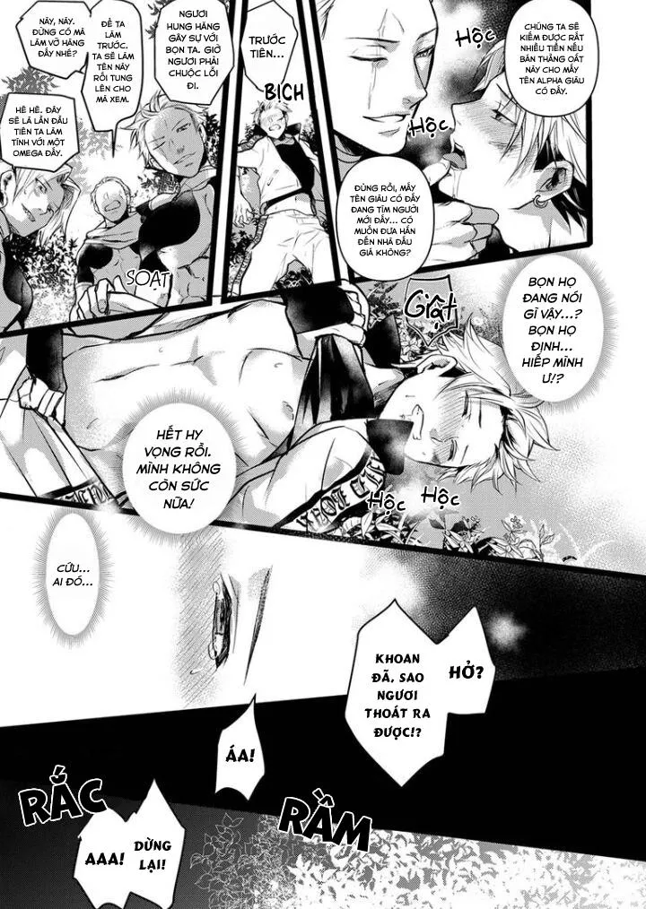 CẬU DU CÔN OMEGA VÀ GÃ THÚ CUỒNG DÂM Chapter 1 Trang 14
