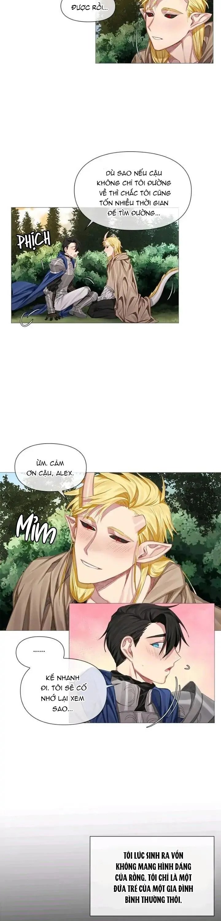 [Hoàn] Chàng Hiệp Sĩ Và Rồng Vàng Chapter 2 Trang 4