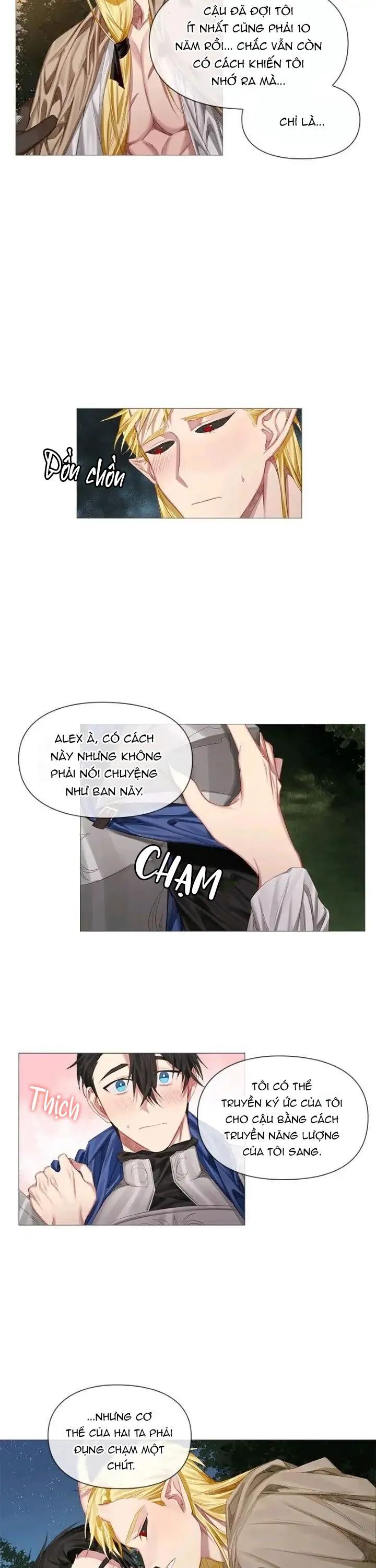 [Hoàn] Chàng Hiệp Sĩ Và Rồng Vàng Chapter 2 Trang 11