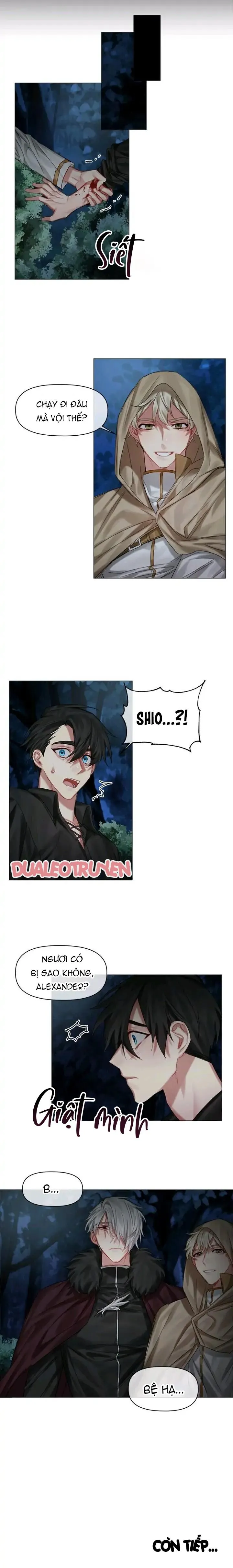 [Hoàn] Chàng Hiệp Sĩ Và Rồng Vàng Chapter 21 Trang 12