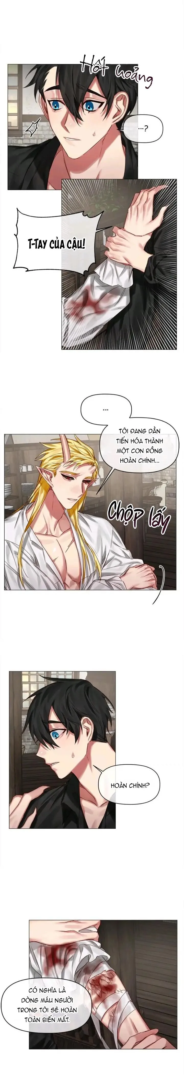 [Hoàn] Chàng Hiệp Sĩ Và Rồng Vàng Chapter 23 Trang 10