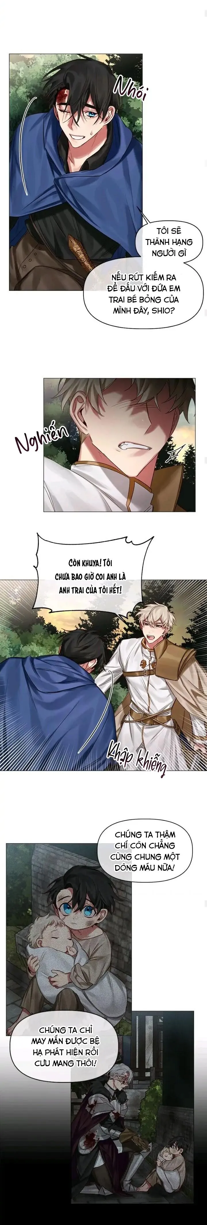 [Hoàn] Chàng Hiệp Sĩ Và Rồng Vàng Chapter 25 Trang 6