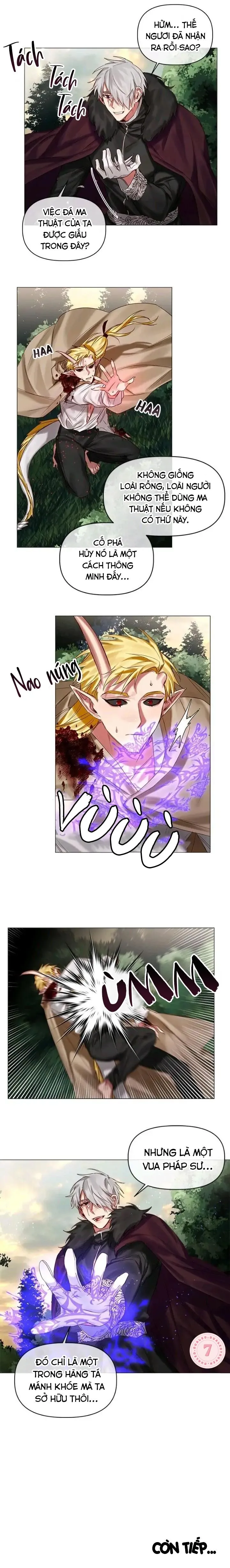 [Hoàn] Chàng Hiệp Sĩ Và Rồng Vàng Chapter 25 Trang 12