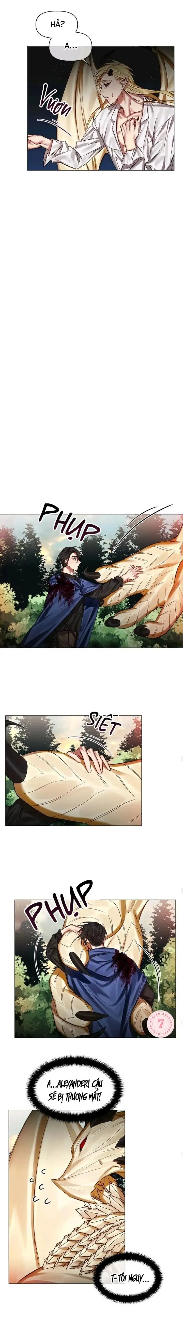 [Hoàn] Chàng Hiệp Sĩ Và Rồng Vàng Chapter 28 Trang 4