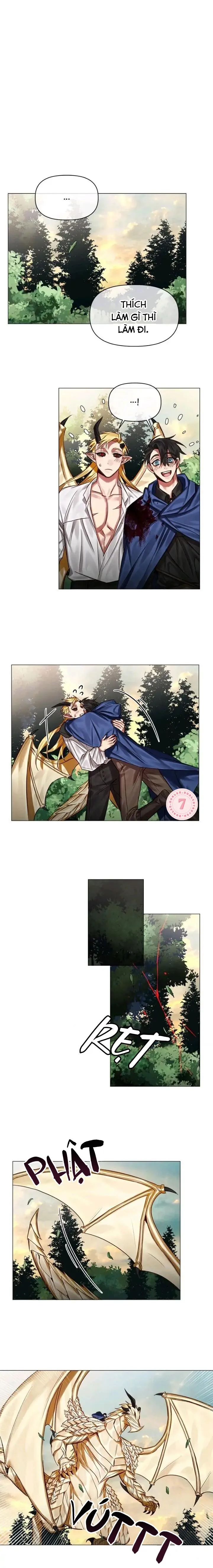 [Hoàn] Chàng Hiệp Sĩ Và Rồng Vàng Chapter 28 Trang 11