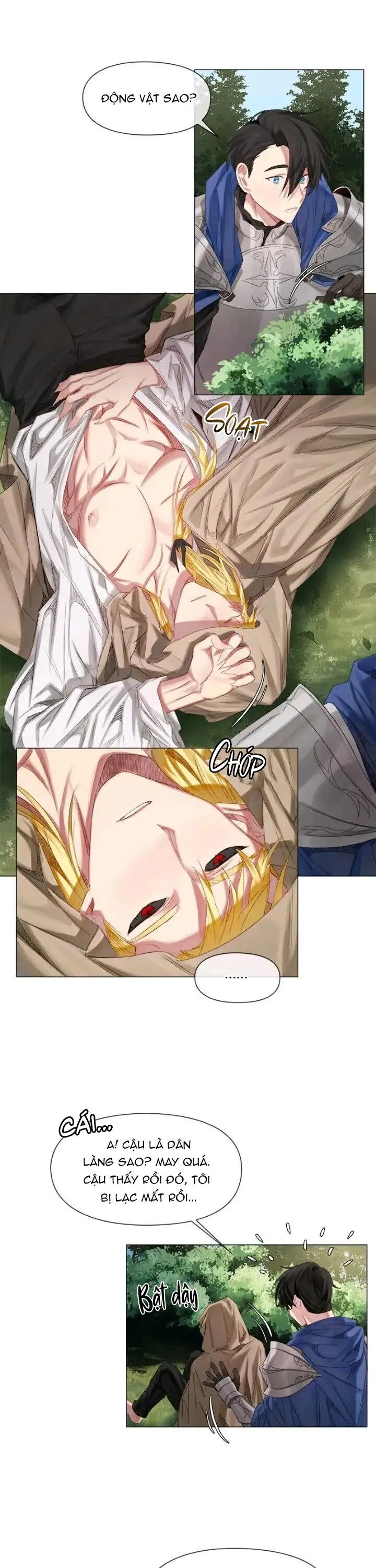[Hoàn] Chàng Hiệp Sĩ Và Rồng Vàng Chapter 1 Trang 8