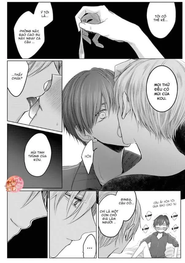 Chẳng Phải Định Mệnh Chapter 3 Trang 43