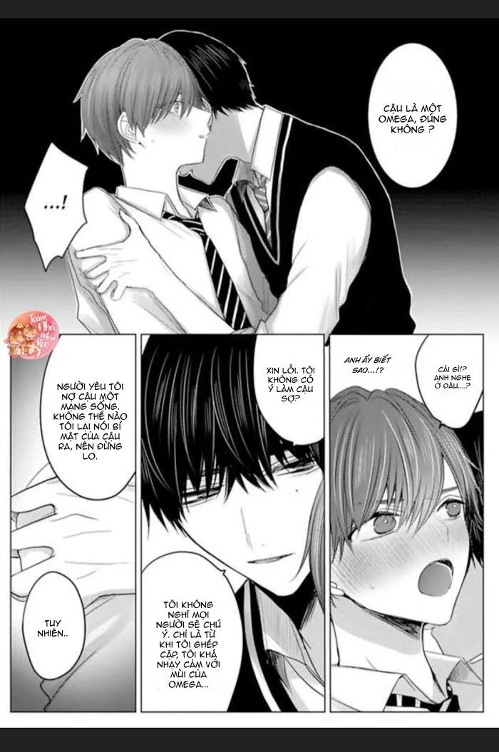 Chẳng Phải Định Mệnh Chapter 5 Trang 6