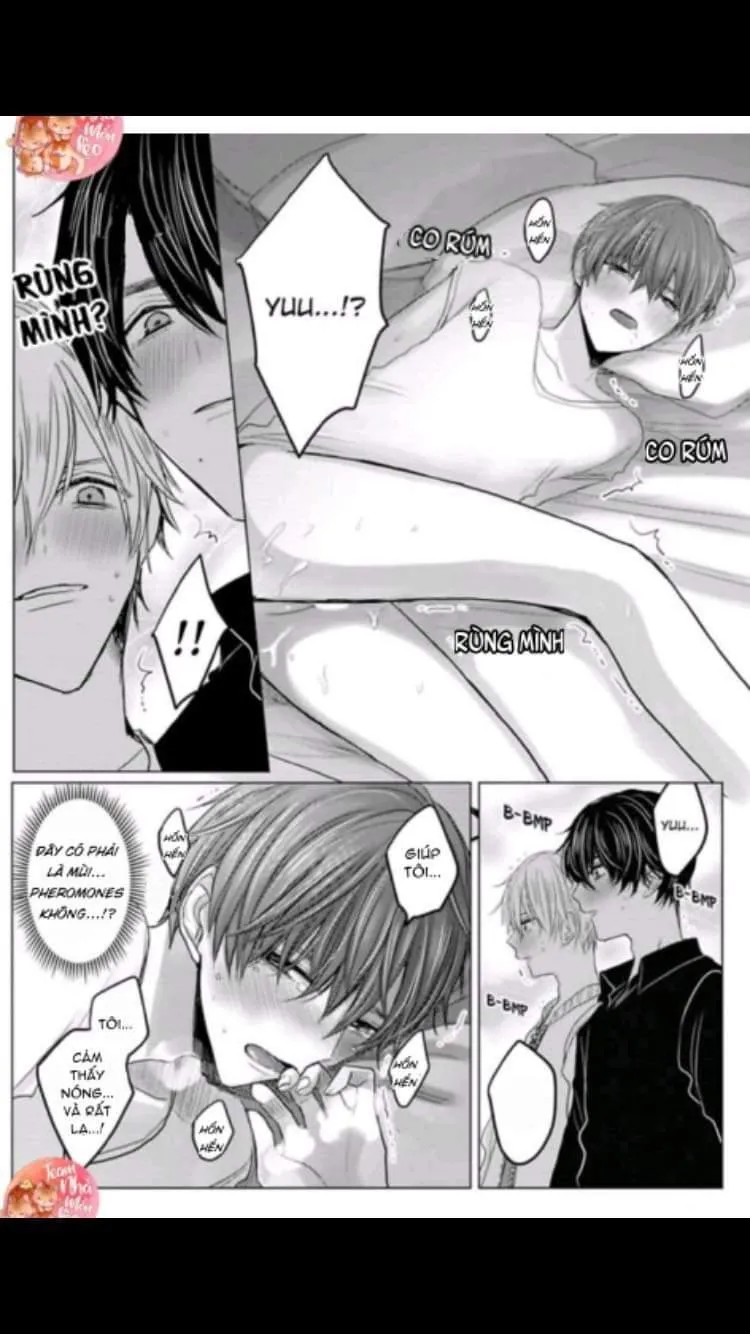 Chẳng Phải Định Mệnh Chapter 1 Trang 3