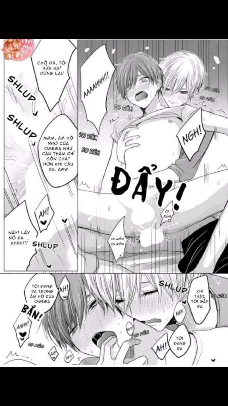 Chẳng Phải Định Mệnh Chapter 1 Trang 11