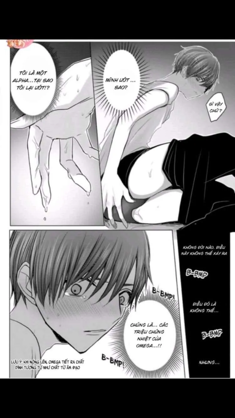 Chẳng Phải Định Mệnh Chapter 1 Trang 37