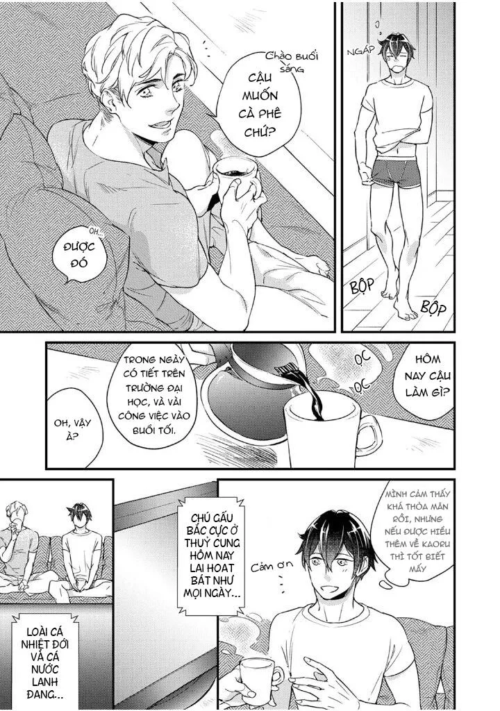 CHÀNG STRIPPER QUYẾN RŨ TÔI MỖI NGÀY Chapter 4 Trang 3