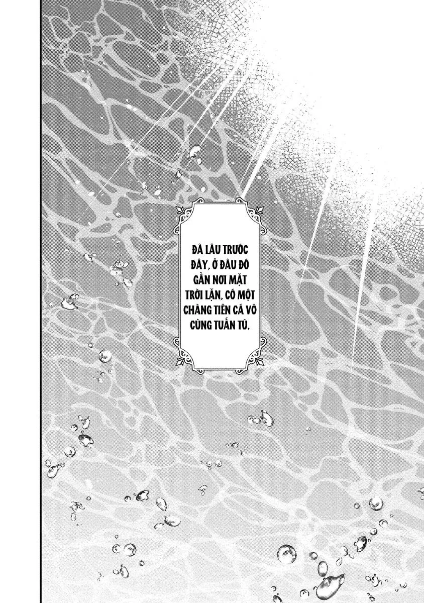 Chàng tiên cá Chapter 1 Trang 5