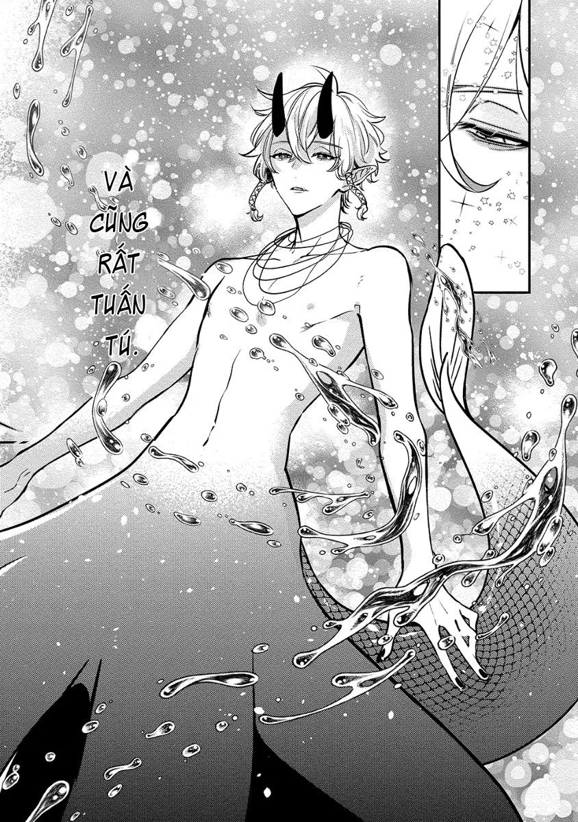 Chàng tiên cá Chapter 1 Trang 17
