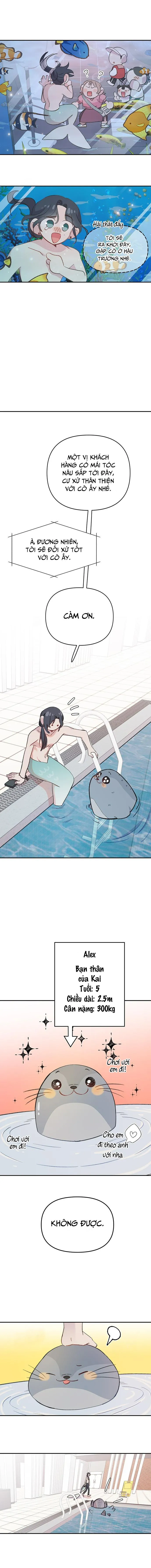 Chàng tiên cá tôi yêu Chapter 5 Trang 15