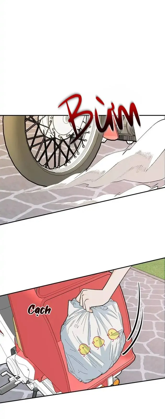 Chàng tiên cá tôi yêu Chapter 1 Trang 4