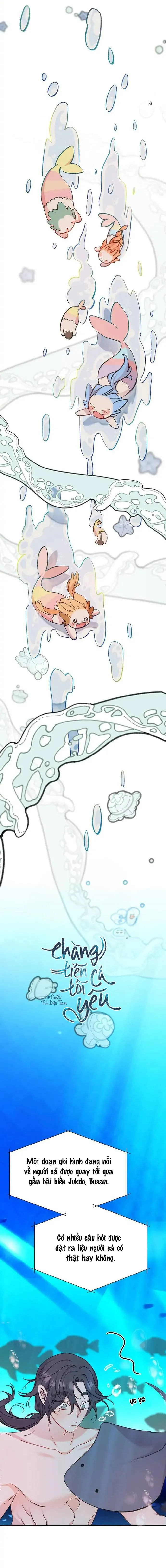 Chàng tiên cá tôi yêu Chapter 1 Trang 21