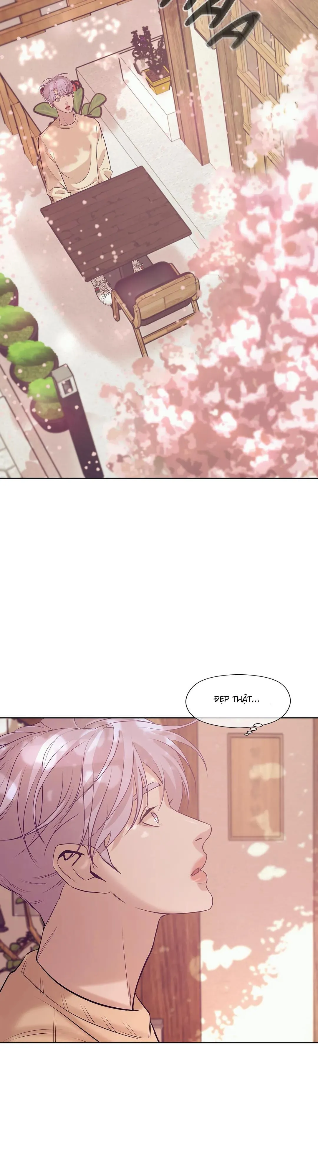 Chàng trai sò Chapter 23 Trang 3