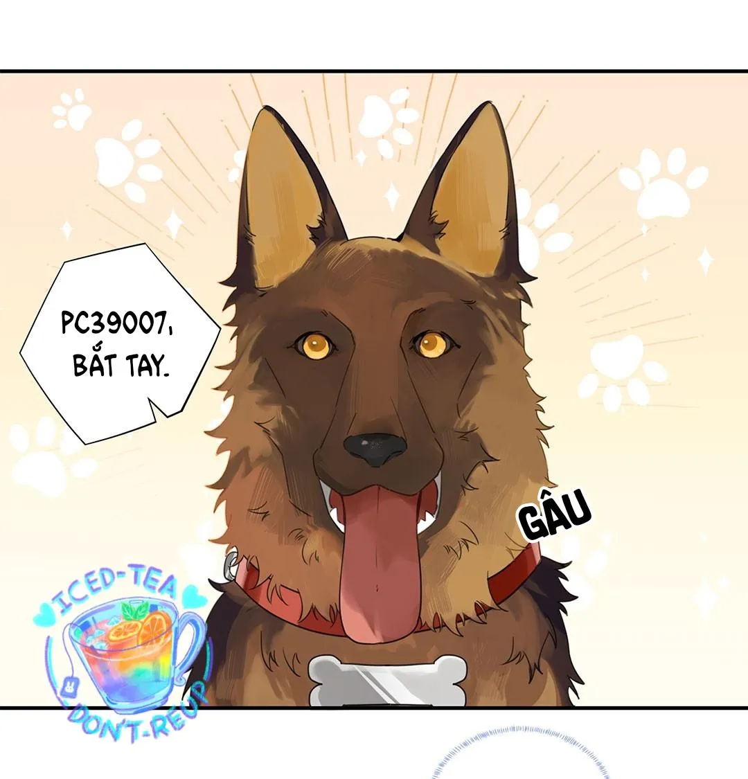 Chào, đã lâu không gặp Chapter 12 Trang 3