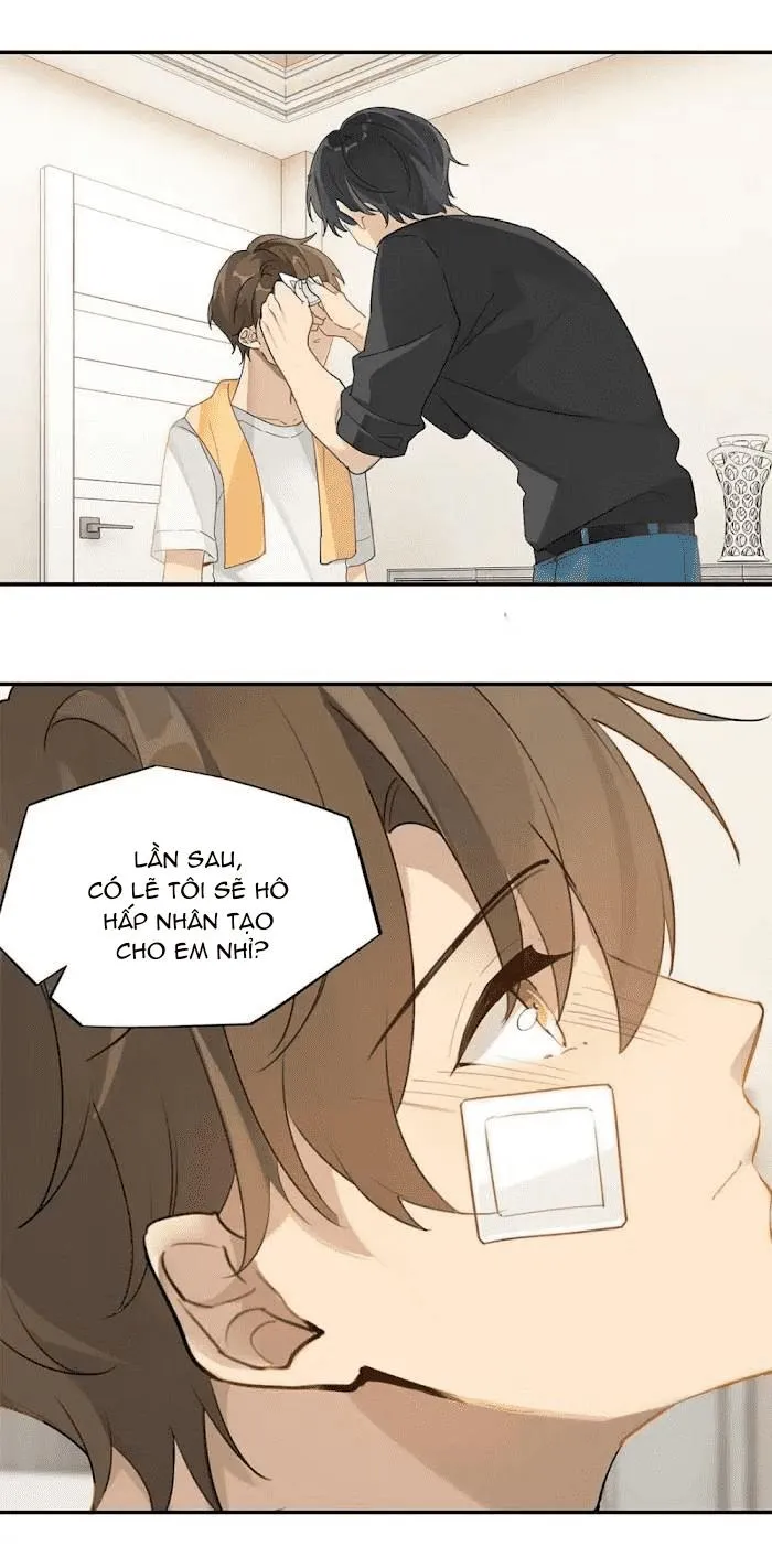 Chào, đã lâu không gặp Chapter 35 Trang 22