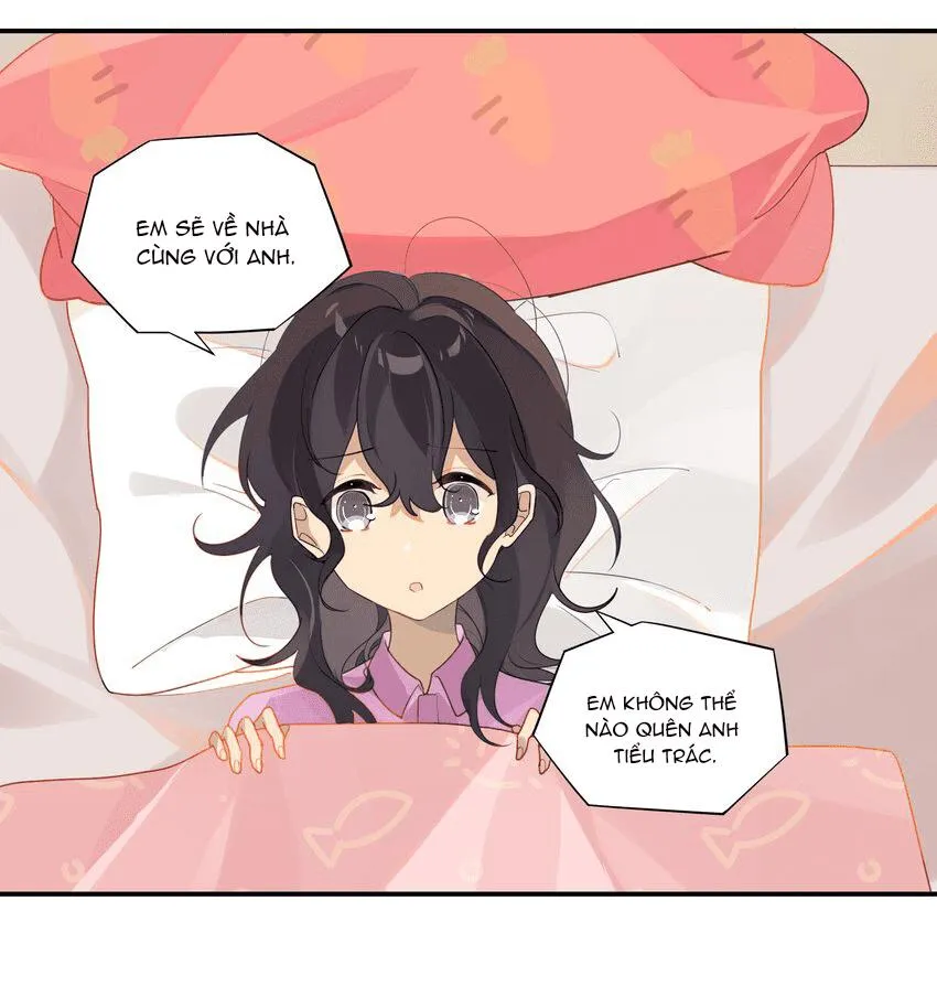 Chào, đã lâu không gặp Chapter 40 Trang 4