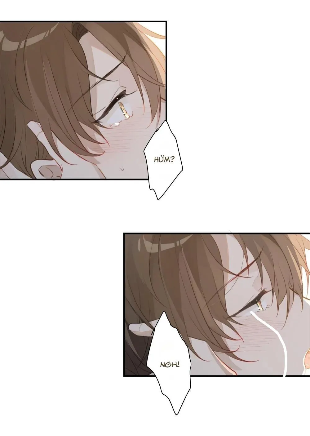 Chào, đã lâu không gặp Chapter 50 Trang 18