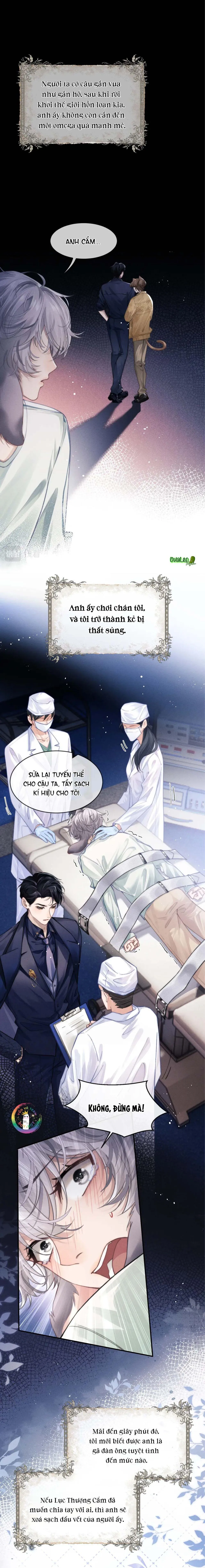 Chấp Sự Thỏ Tai Cụp Chapter 2 Trang 5