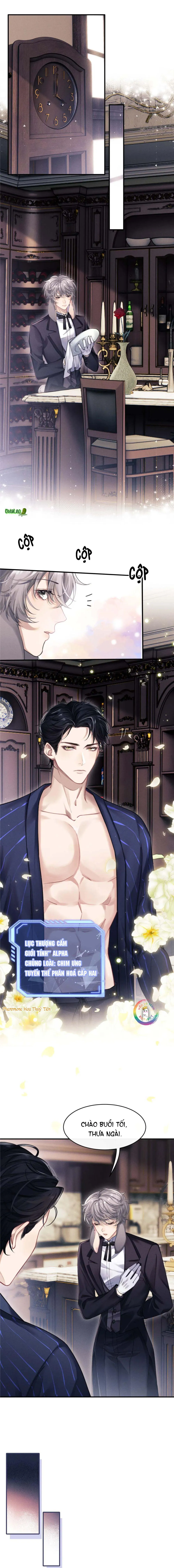 Chấp Sự Thỏ Tai Cụp Chapter 2 Trang 7