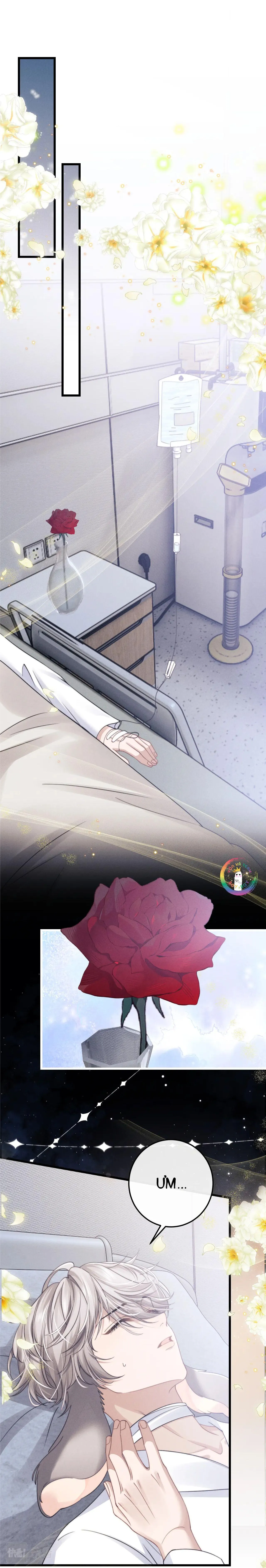 Chấp Sự Thỏ Tai Cụp Chapter 10 Trang 13