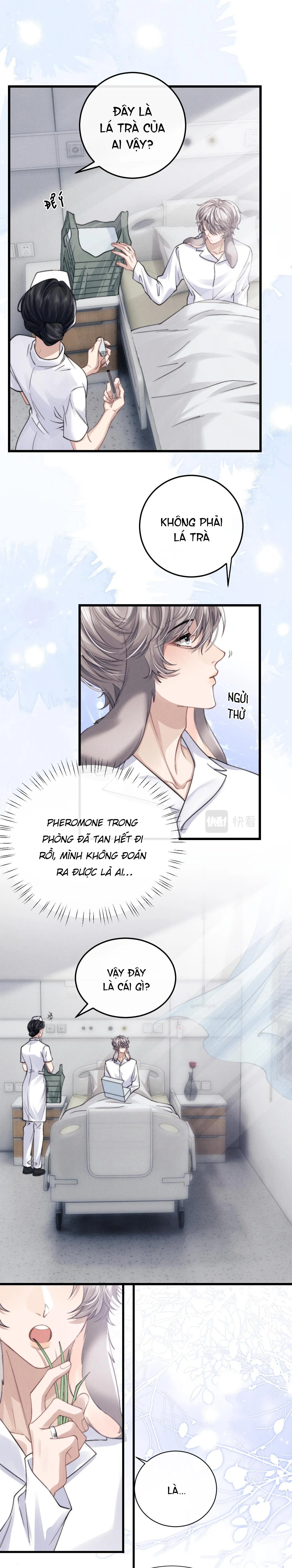 Chấp Sự Thỏ Tai Cụp Chapter 15 Trang 5