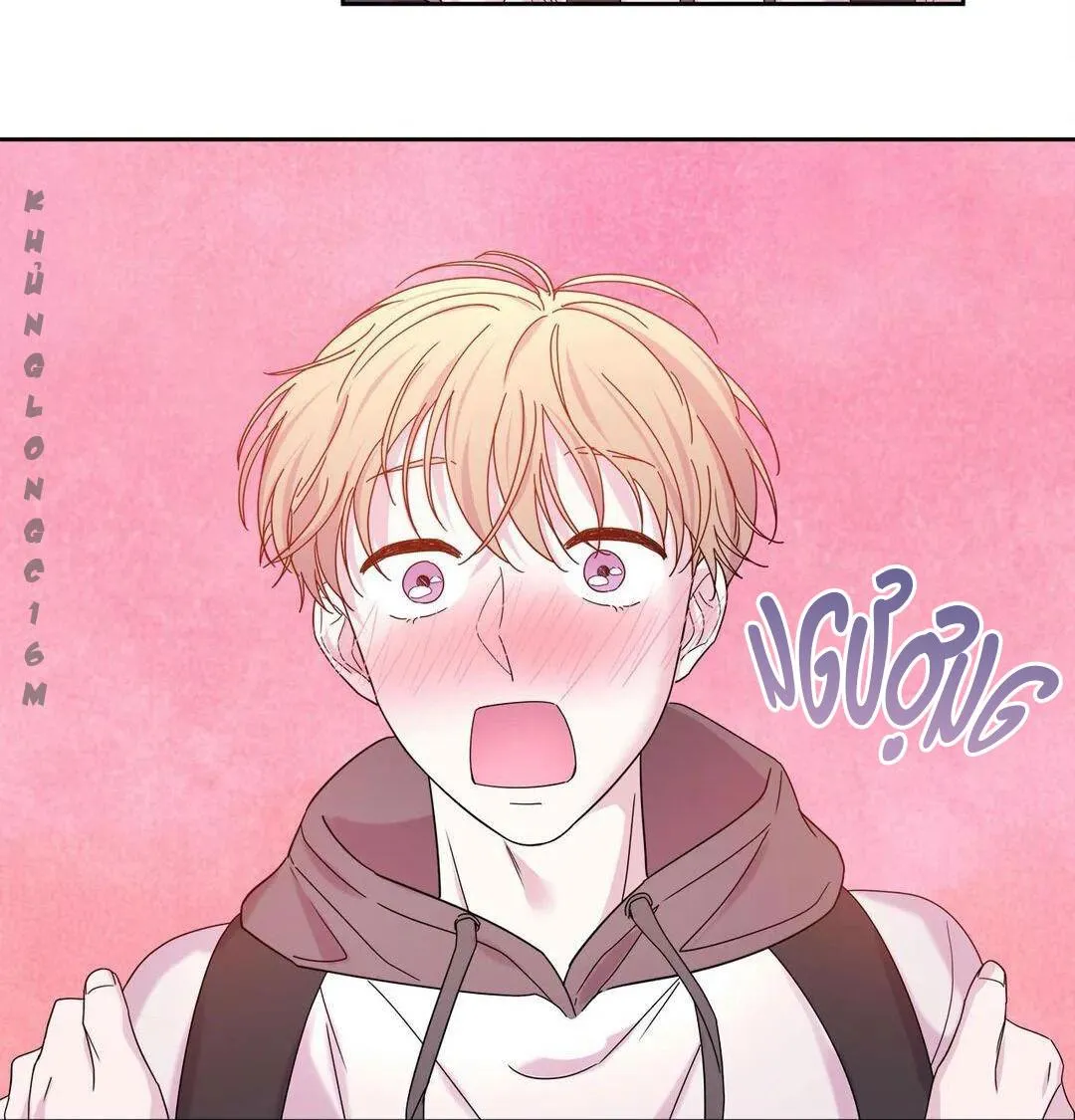 10 Đêm Mê Hoặc Chapter 31 Trang 16