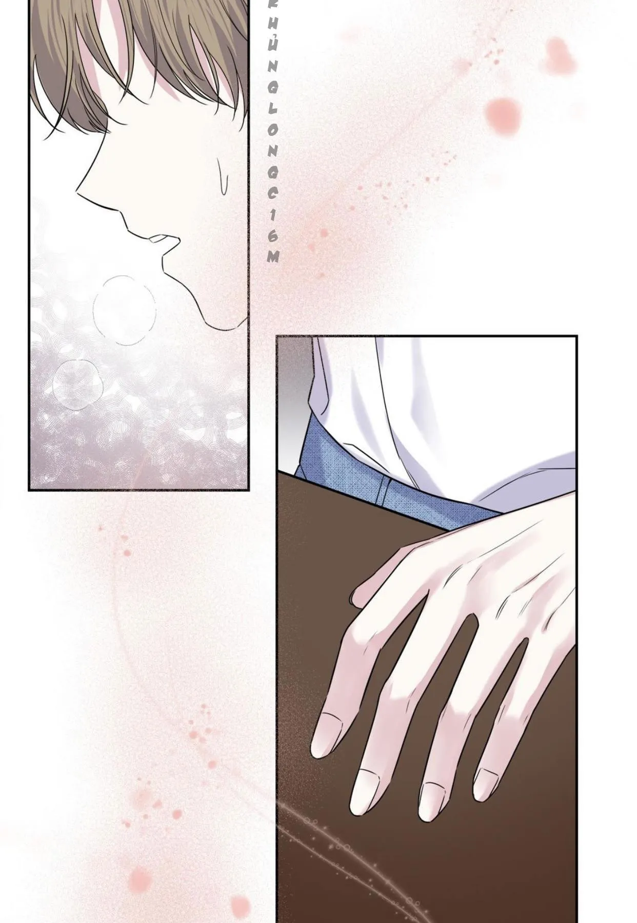 10 Đêm Mê Hoặc Chapter 43 Trang 3