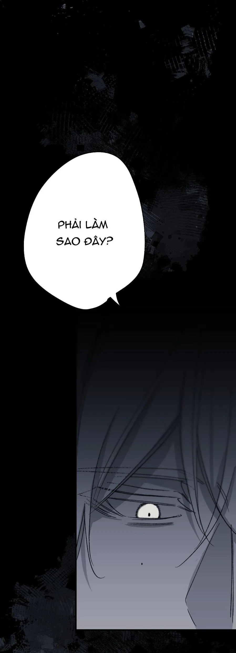 16647 Chapter 11 Trang 48