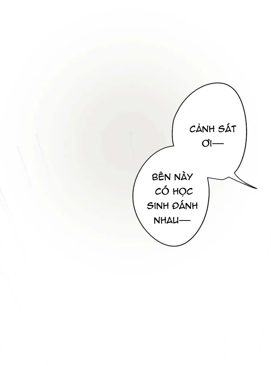 16647 Chapter 8 Trang 21