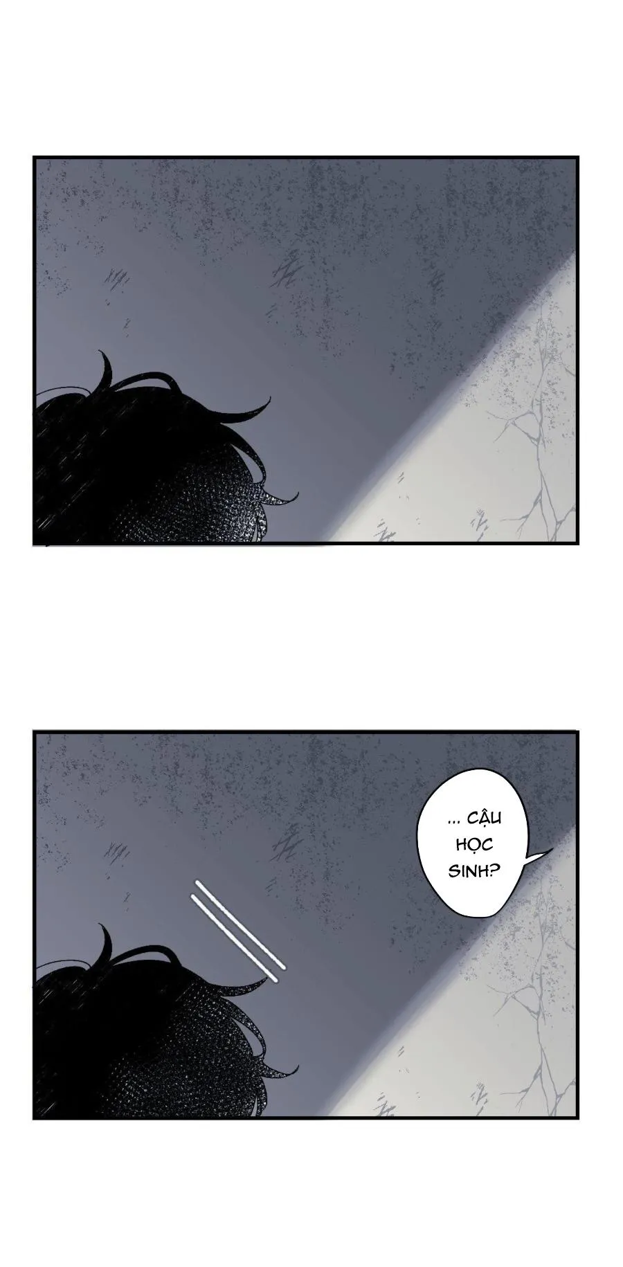 16647 Chapter 8 Trang 25