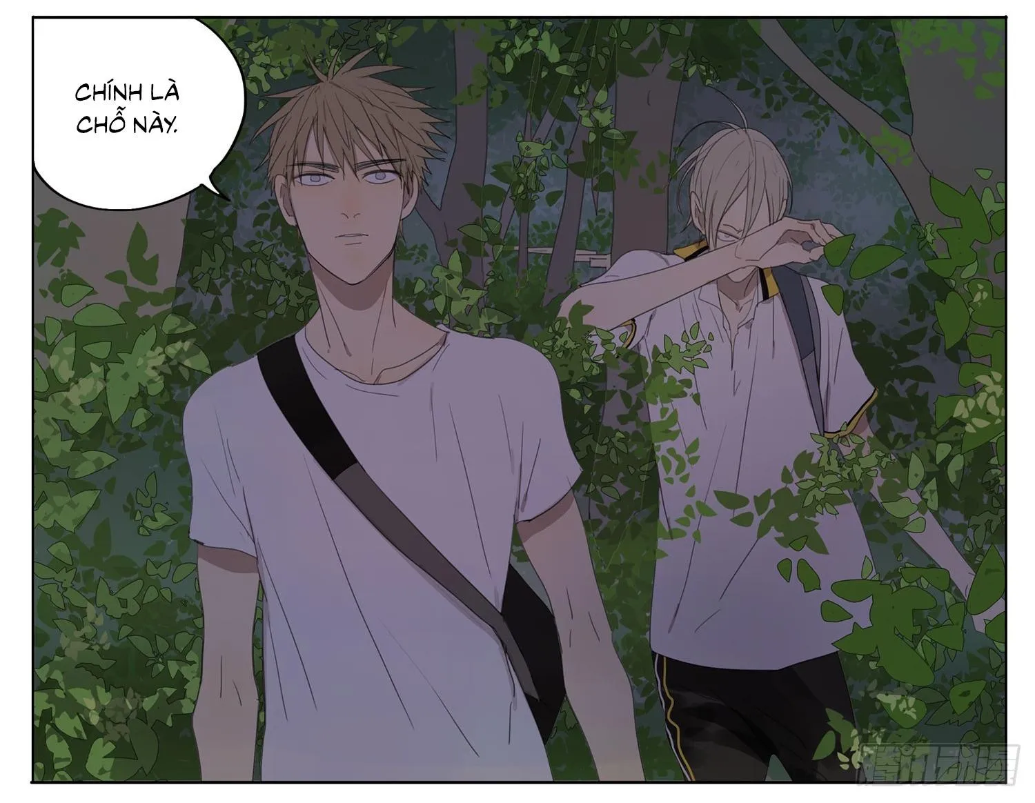 19 days Chapter 80 Trang 3