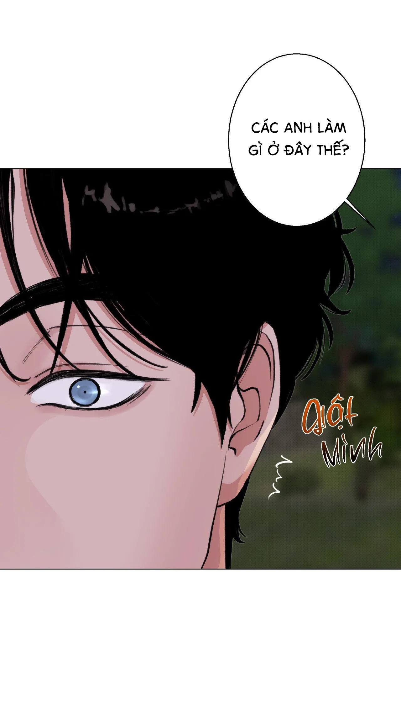 2020 Chapter 12 Trang 29