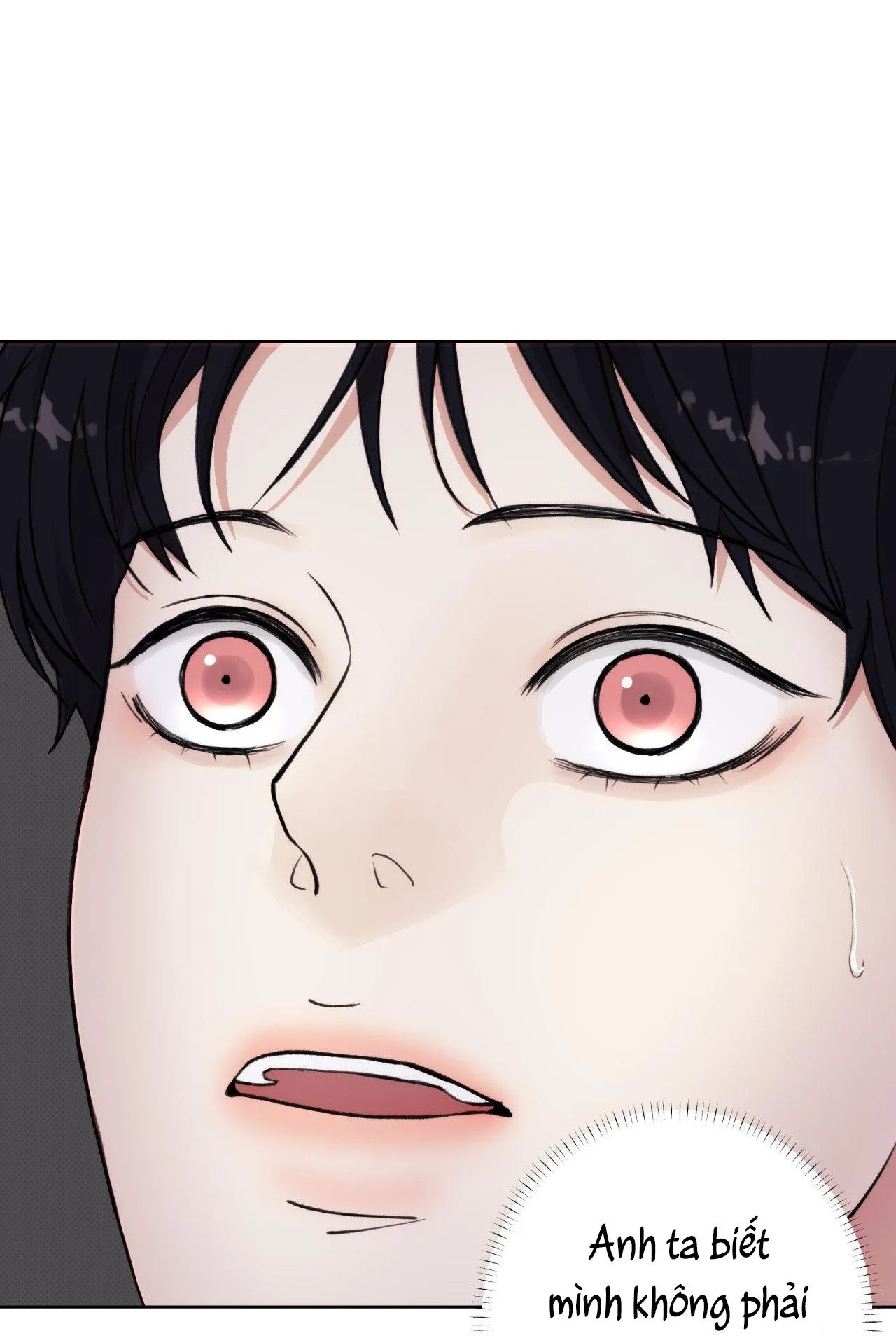 2020 Chapter 6 Trang 65