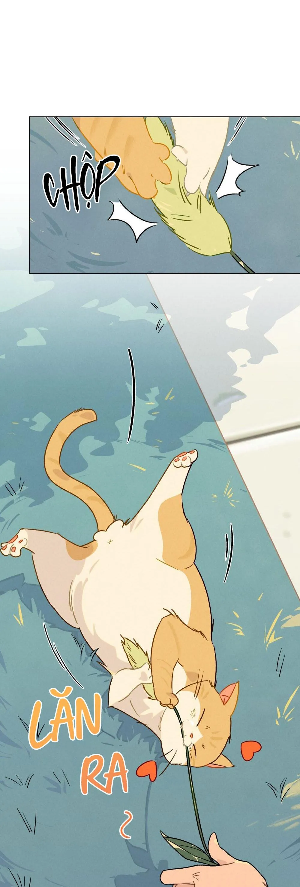 30 PHÚT TRƯỚC KHI TỎ TÌNH Chapter 13 Trang 21