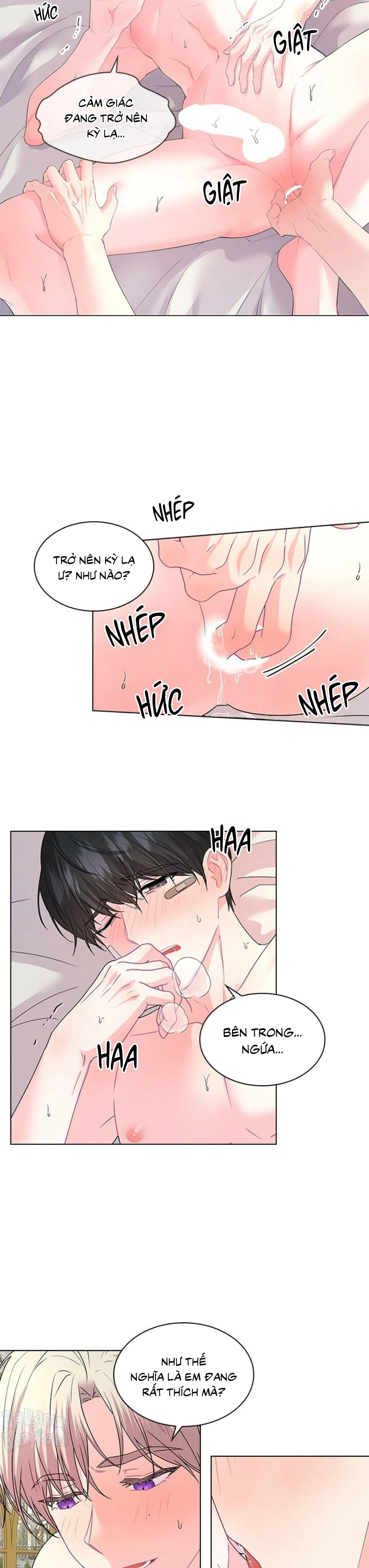 Who’s your daddy Chapter 42 Trang 4