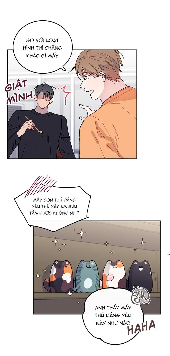 Why Not, CEO? Chapter 10 Trang 5