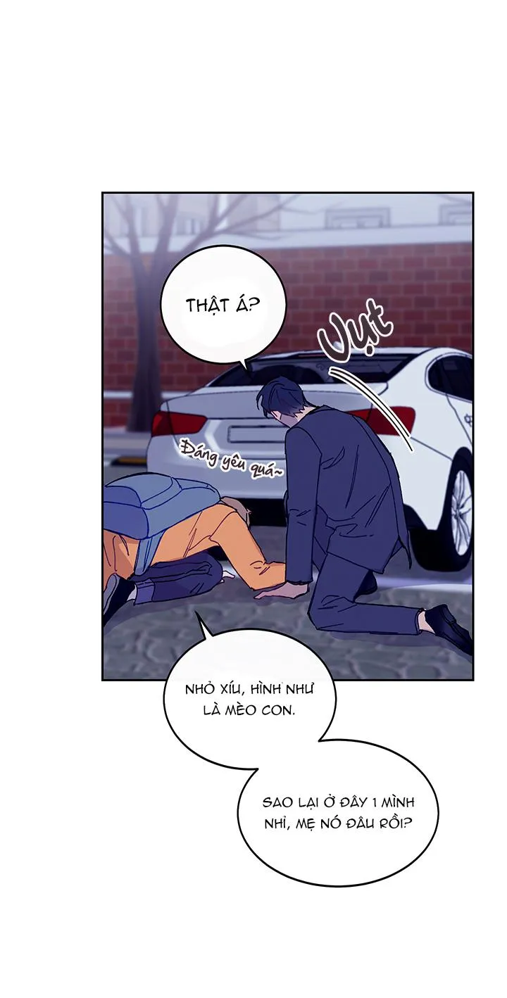 Why Not, CEO? Chapter 10 Trang 22