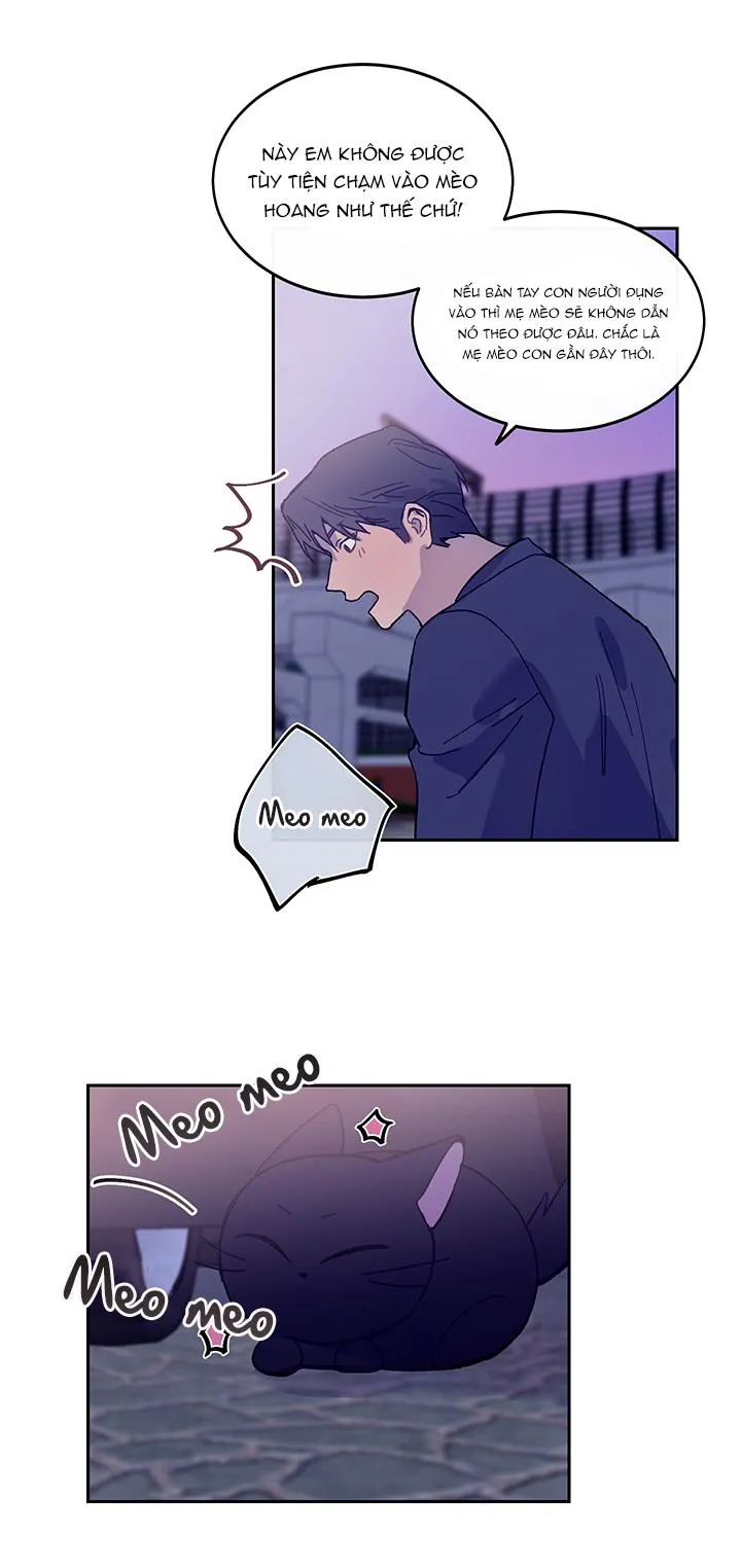 Why Not, CEO? Chapter 10 Trang 24