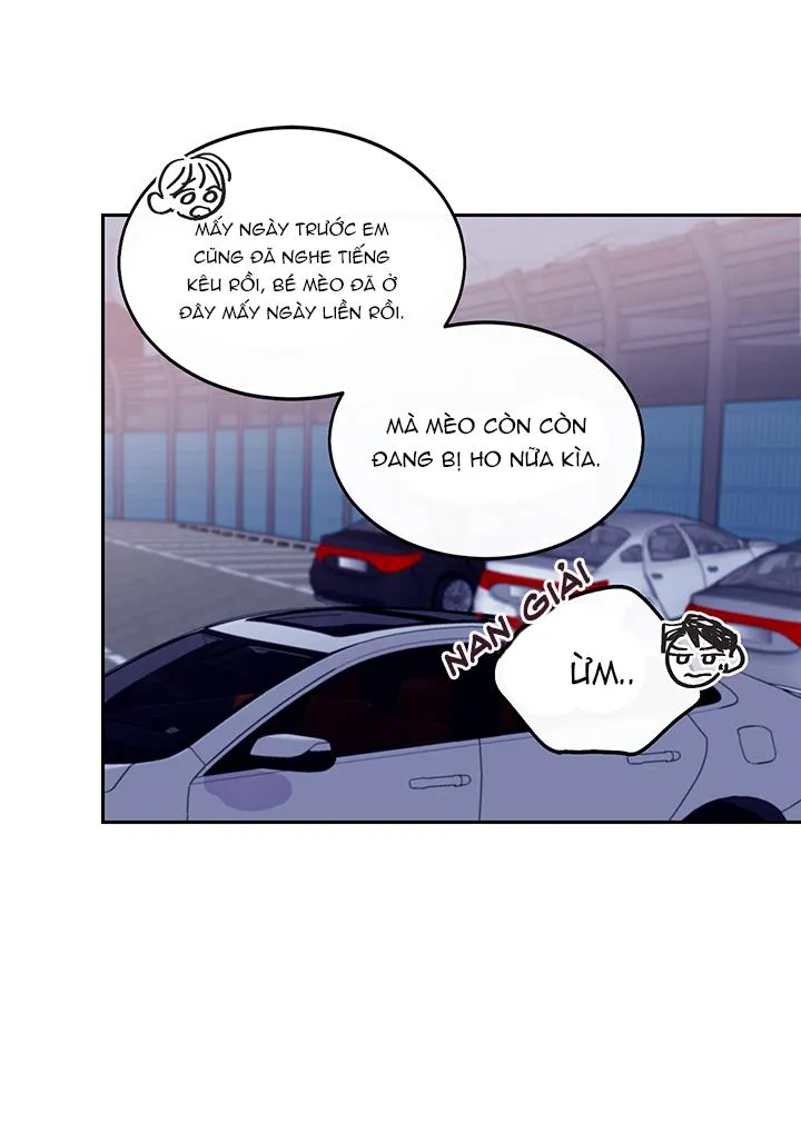 Why Not, CEO? Chapter 10 Trang 25