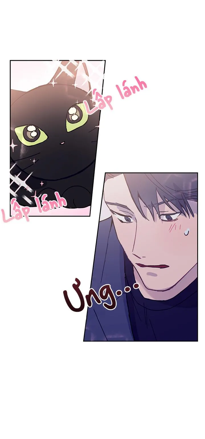 Why Not, CEO? Chapter 10 Trang 26